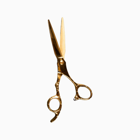 Scissors Professional